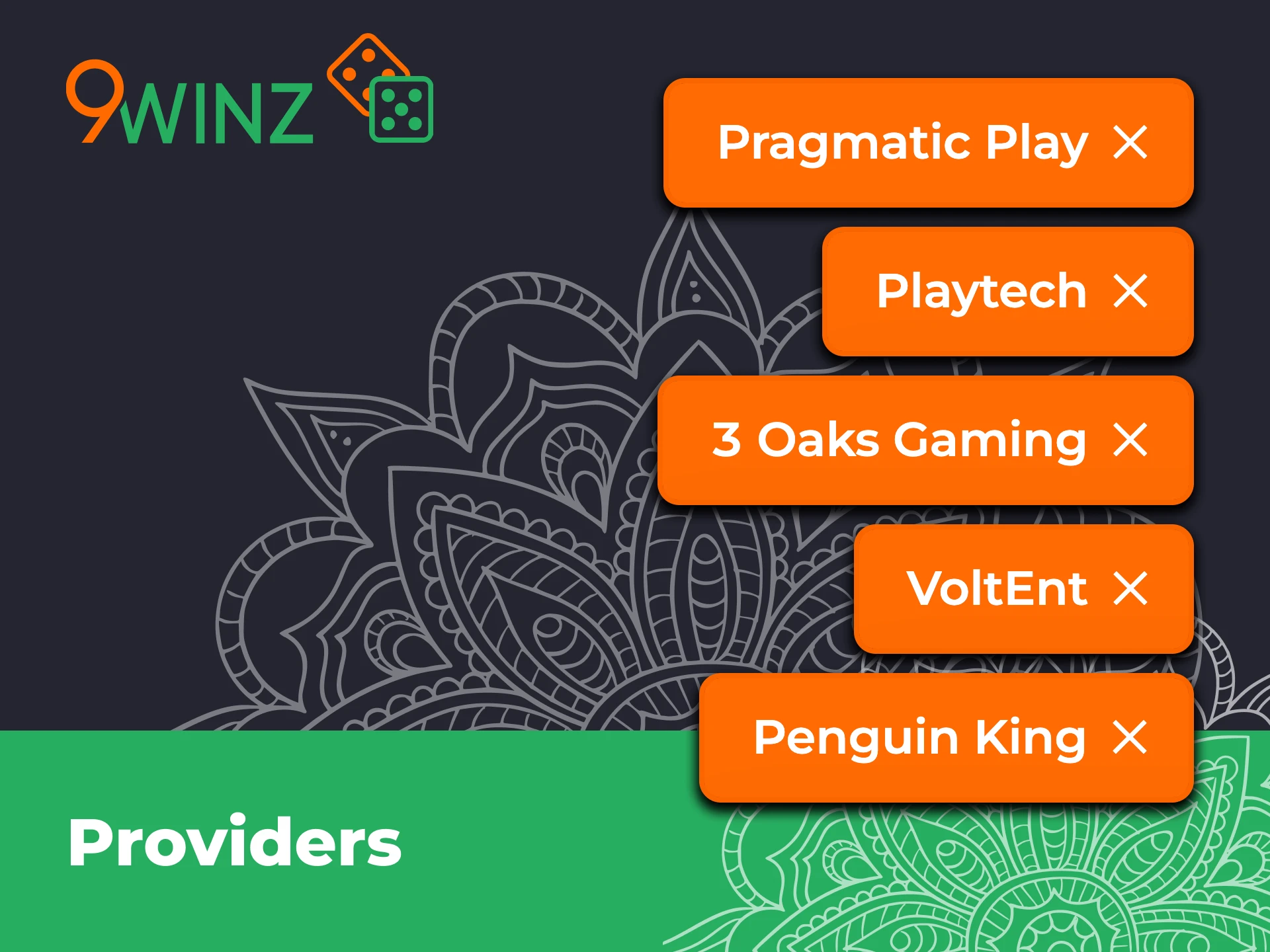 9winz cooperates only with trusted and reliable software providers.